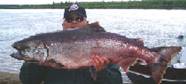 Guy Holding Up an Alaskan Fish